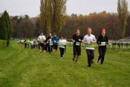 BARTH Run Velká pardubická (141)